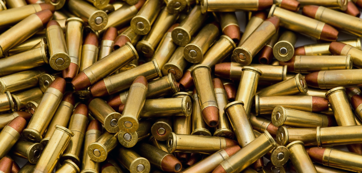 Firearms and Ammunition Manufacturer