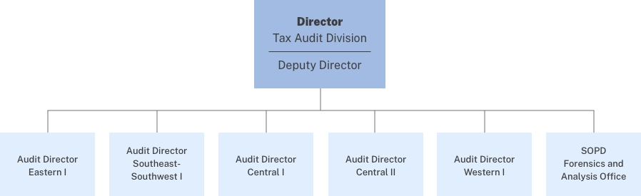 Tax Audit Division organization chart