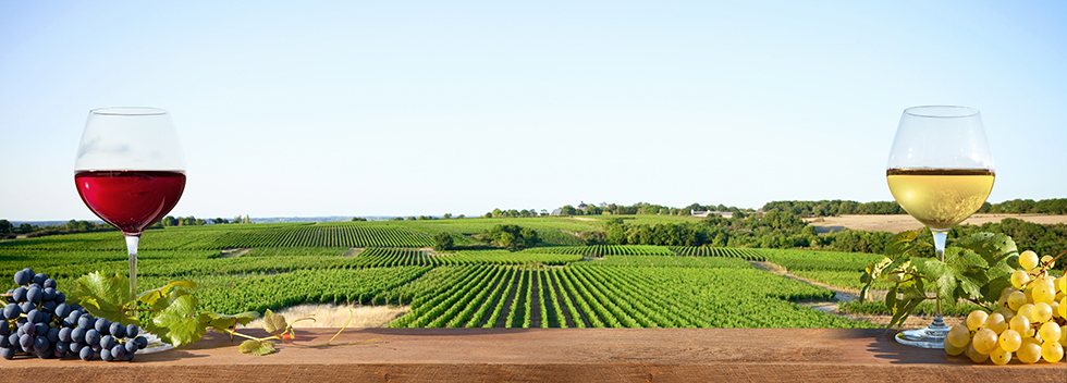 American Viticultural Areas (AVAs) American Viticultural Areas (AVAs)