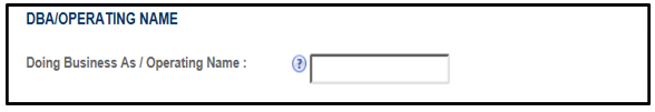 Doing business name fields